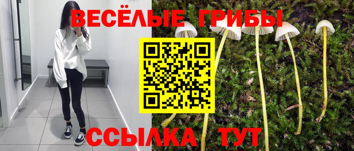 APVP Рассказово
