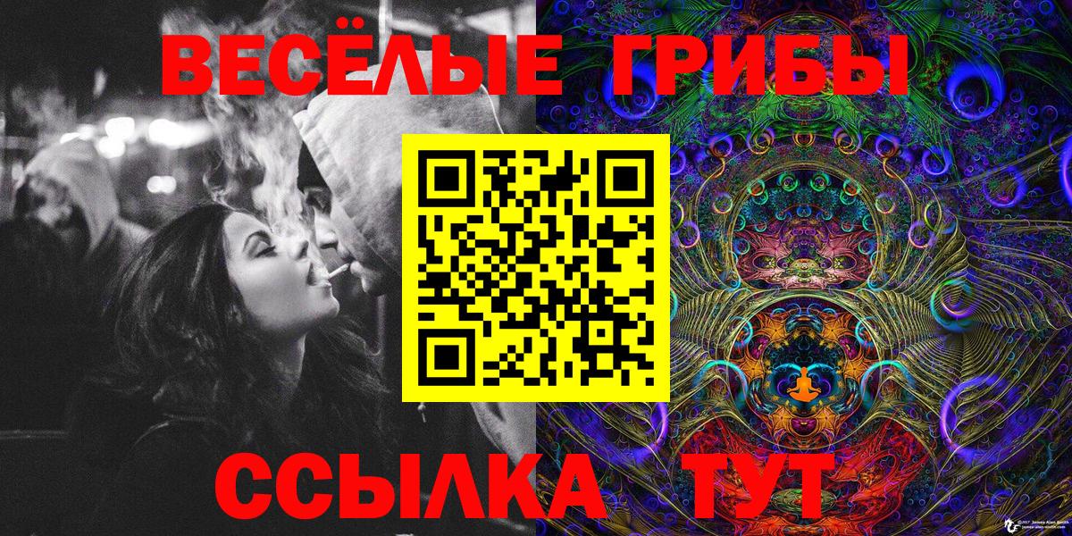 Псилоцибиновые грибы ЛСД  Вход с VPN  Рассказово 